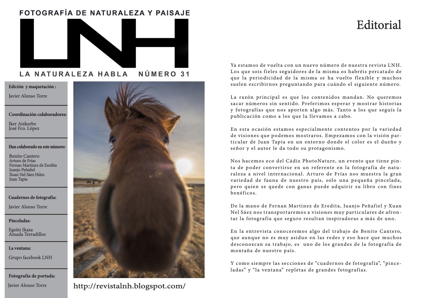 LNH NUM31_Paisaje en BN1